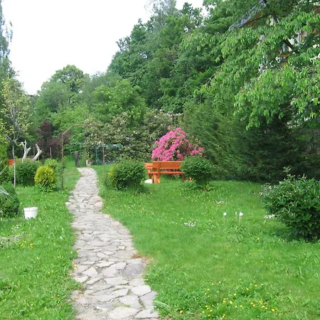 Jasmin *